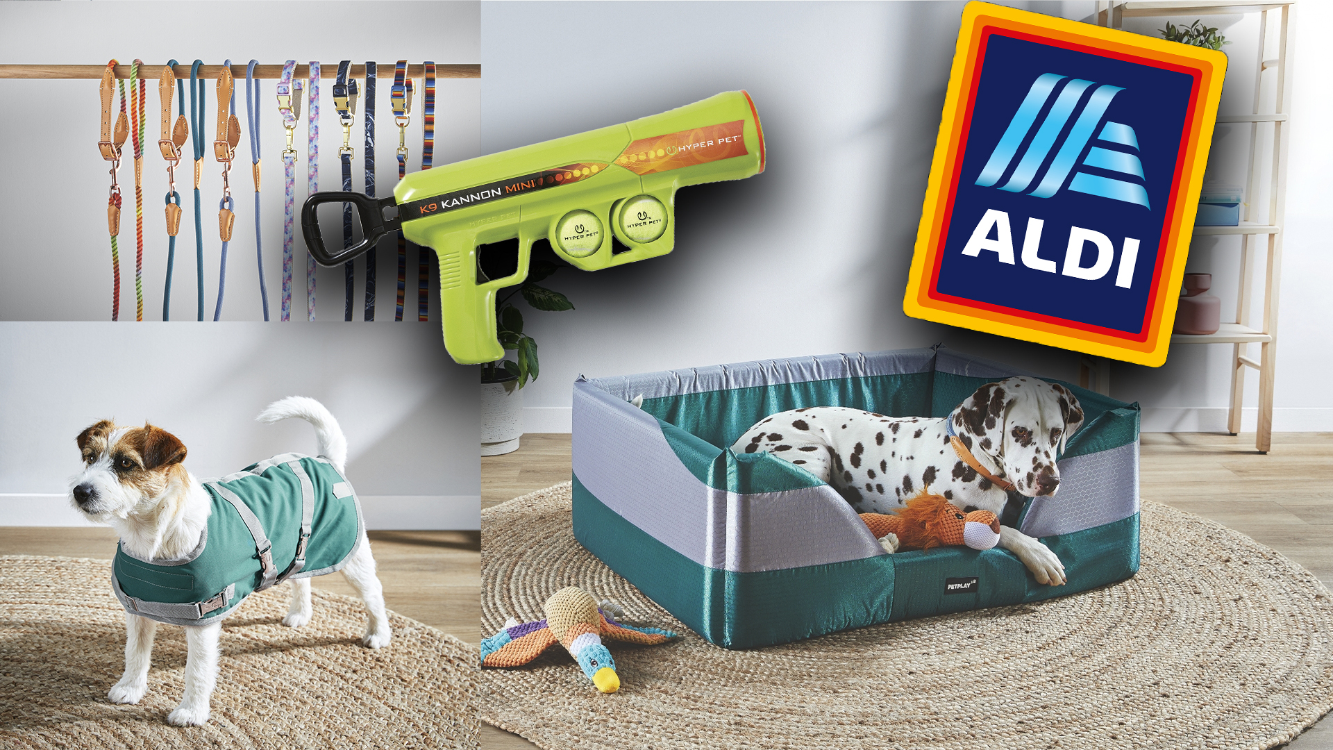 Heated dog outlet bed aldi