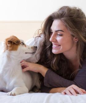 Study Reveals Nearly 50% of Aussie Pet Owners Share Their Bed with Their Pets